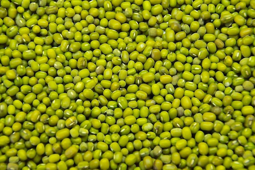 Green mung bean